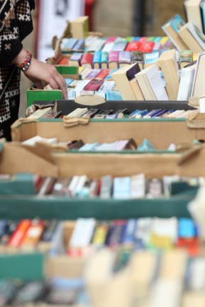 shutterstock_162914093