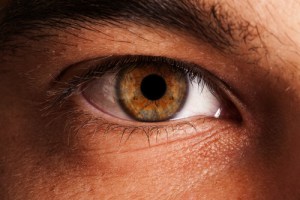 shutterstock_206887450