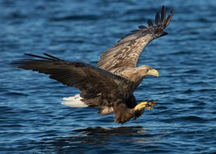 shutterstock_169334765