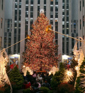 640px-Xmastreenewyork06