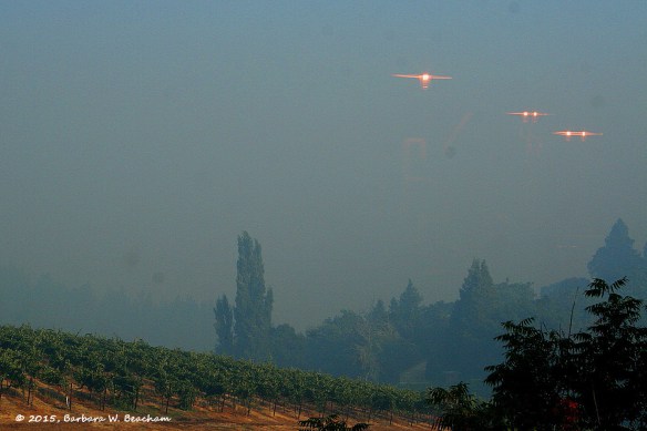 2015-03-09-bw-beacham