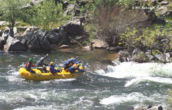 2015-03-23-bw-beacham1