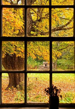 fall-view-through-a-window