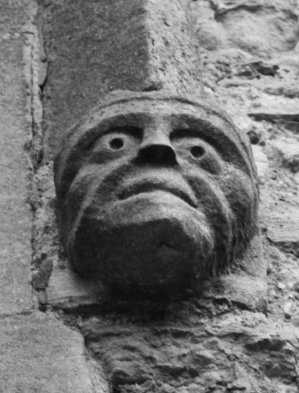 Awake chimera. Copyright Louise Bunting