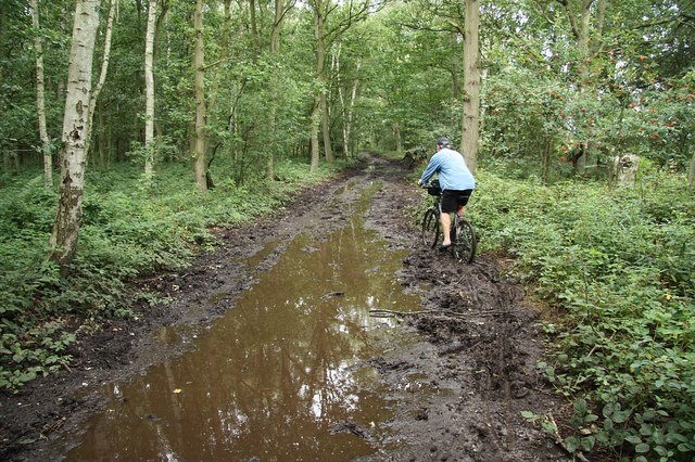 Quagmire_-_geograph.org.uk_-_1425200