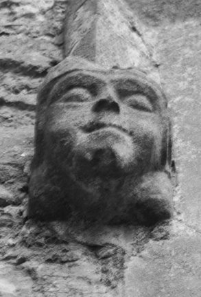 Sleeping chimera. Copyright Louise Bunting