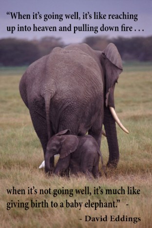 baby elephant quote