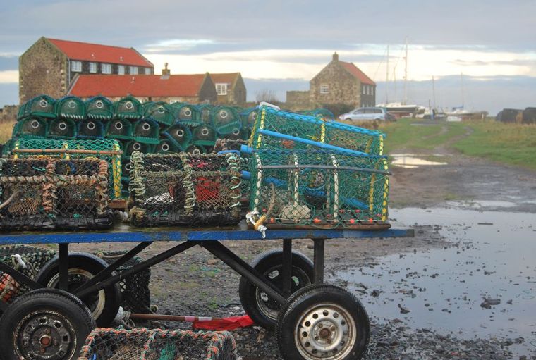 1024px-Lindisfarne_Lobster_Pots