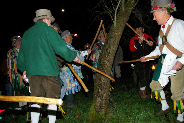 Broadmarsh Morris men beating the apple trees with sticks to drive out evil spirits that may spoil the crop. Author: Glyn Baker. geog.org.uk Creative Commons