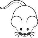 mouse-303588_640