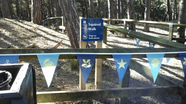 098 National Trust Squirrel Walk