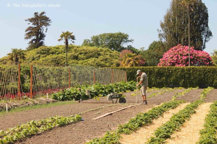 photo-20160724072923118