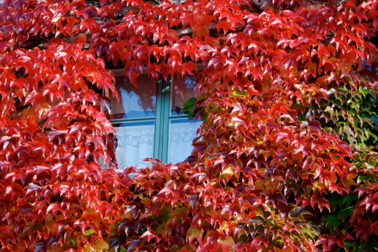 shutterstock_227405548