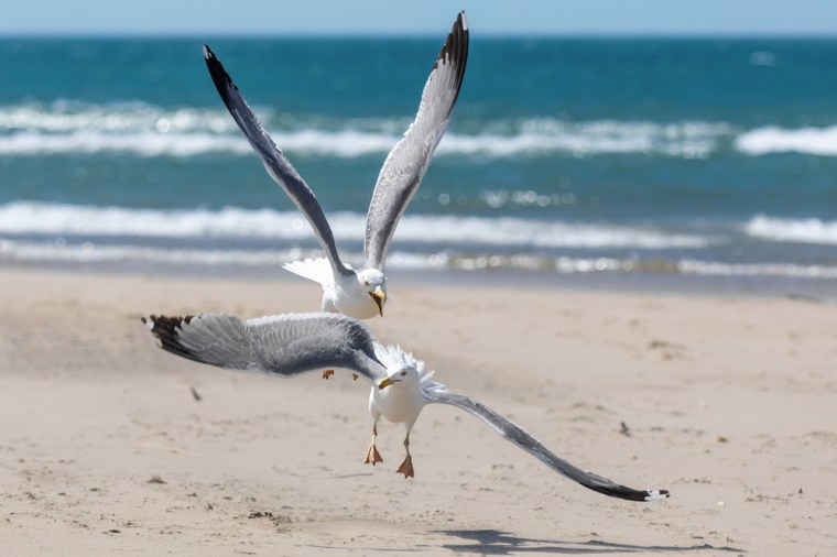 shutterstock_1782545357