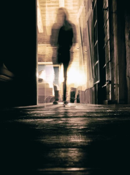 SuperHerftigGeneral from Pixabay 